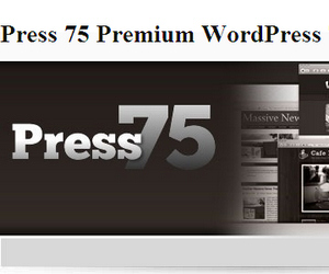 Press75 WordPress Themes Package