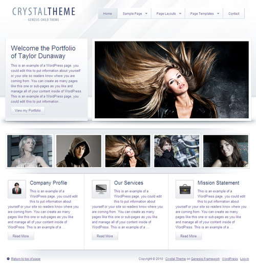 Crystal Prmeium WordPress Child Theme