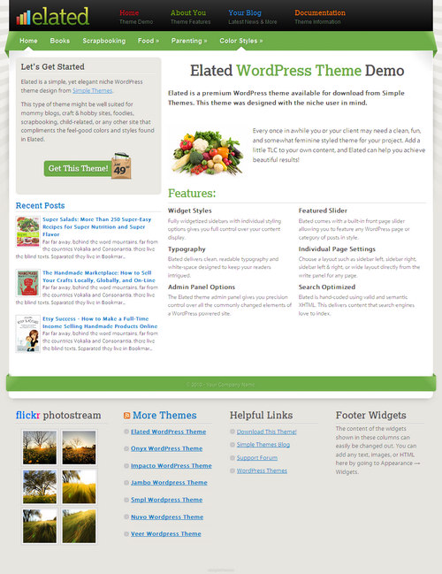 Elated Premium WordPress Theme