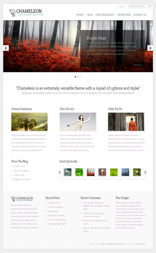 Chameleon Premium WordPress Theme