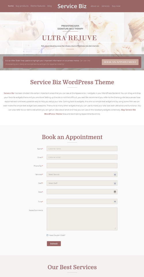 Service Biz WordPress Theme
